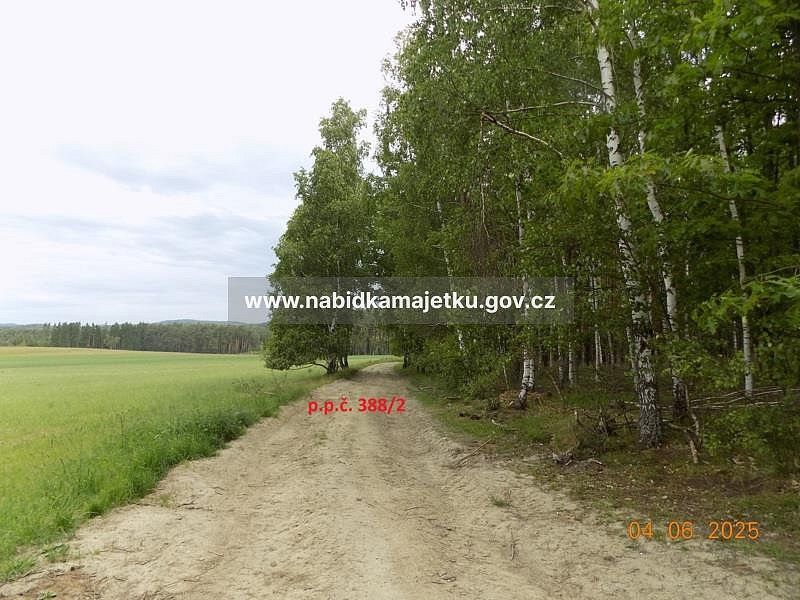 Ostatní, Ostrov u Bezdružic, okres Plzeň-sever, Plzeňský kraj - 2