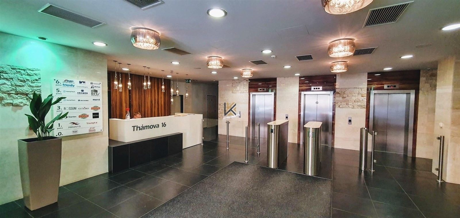 Pronájem kancelář - Thámova, Praha, 250 m²
