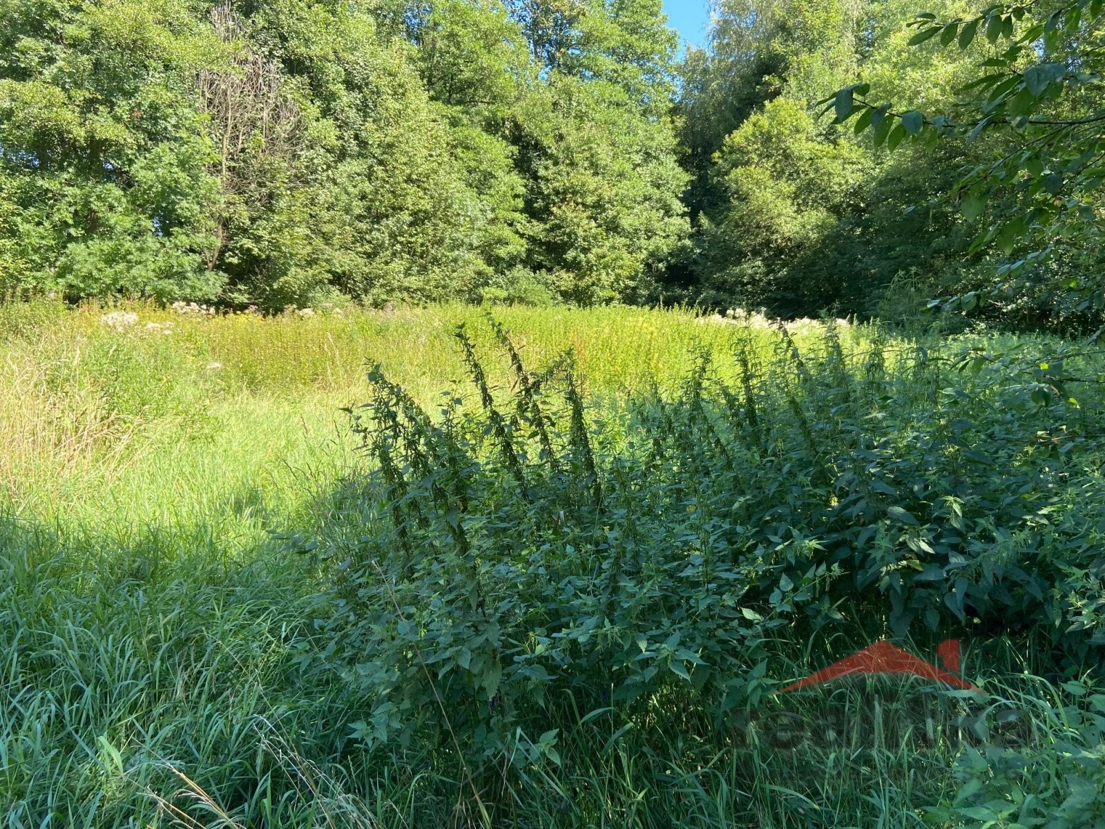 Pozemek · 3 120 m² · Svatoňovice - 4