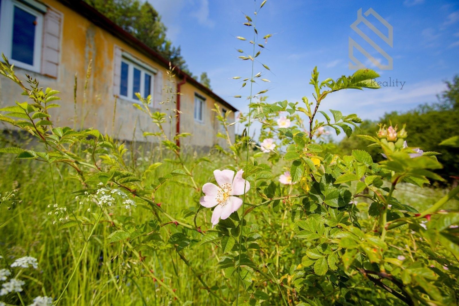 Zemědělské usedlosti, Louny, 593 m²