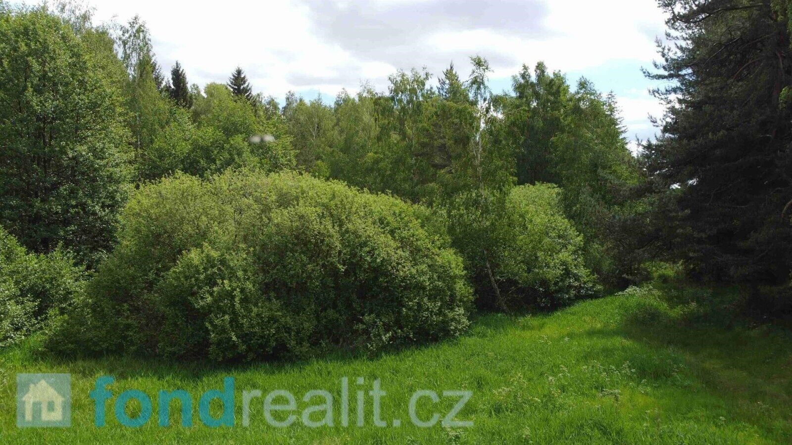 Louka · 27 662 m² · Slavonice Stálkov - 4