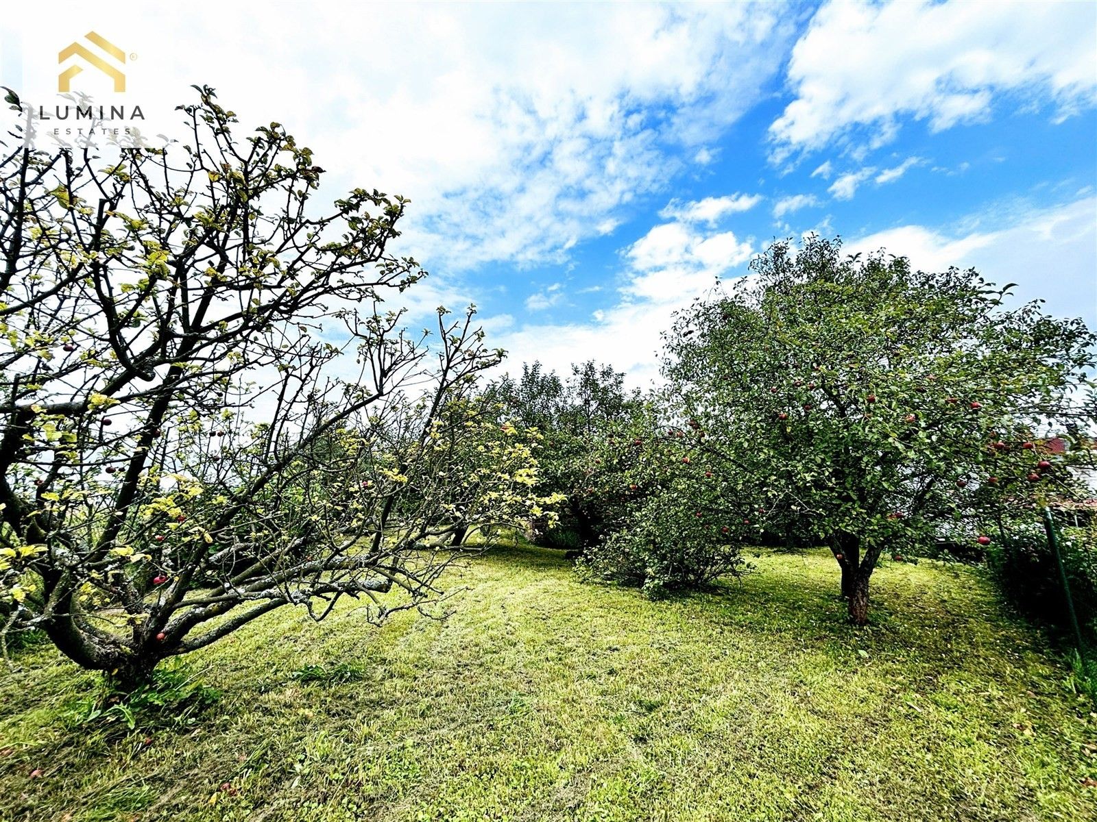 Rodinné domy, Petrovice, Velké Petrovice, 146 m²