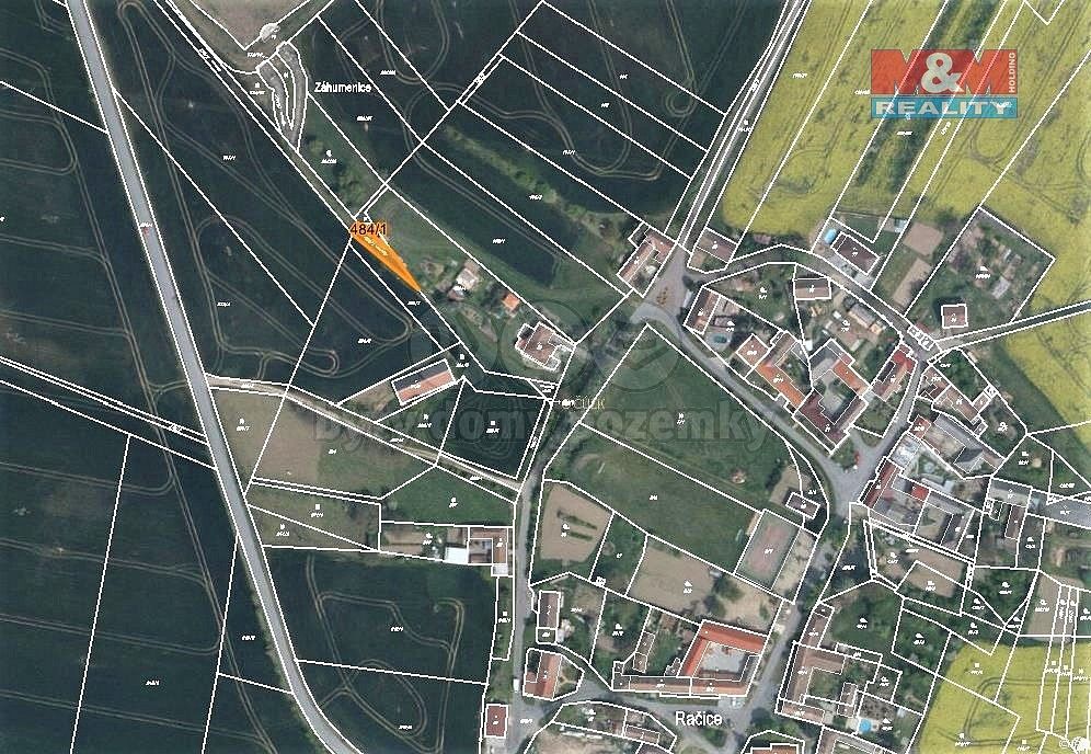 Rybník · Račice, okres Třebíč, Kraj Vysočina - 3
