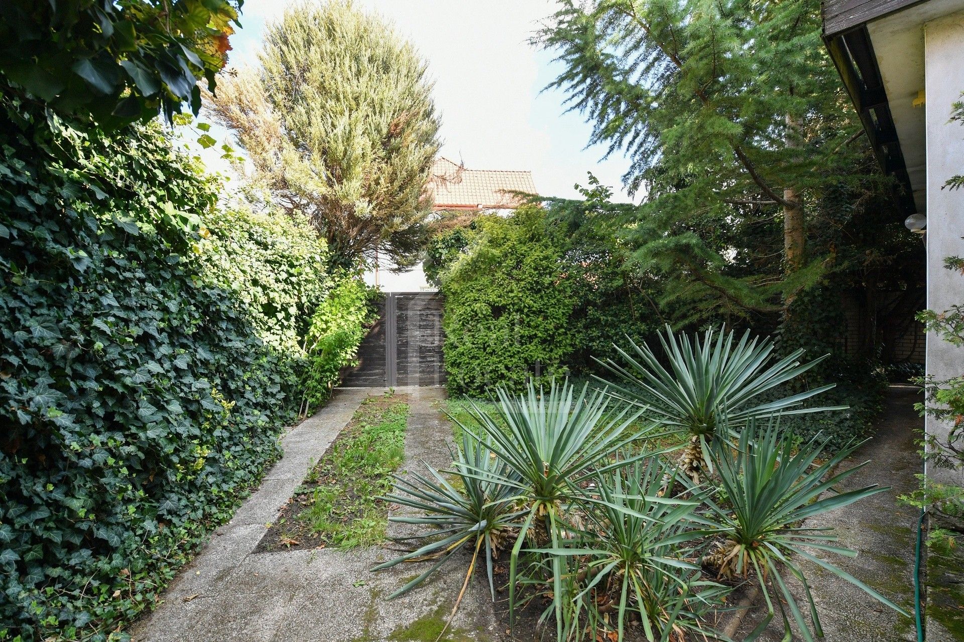 Rodinné domy, Husova, Zeleneč, 162 m²