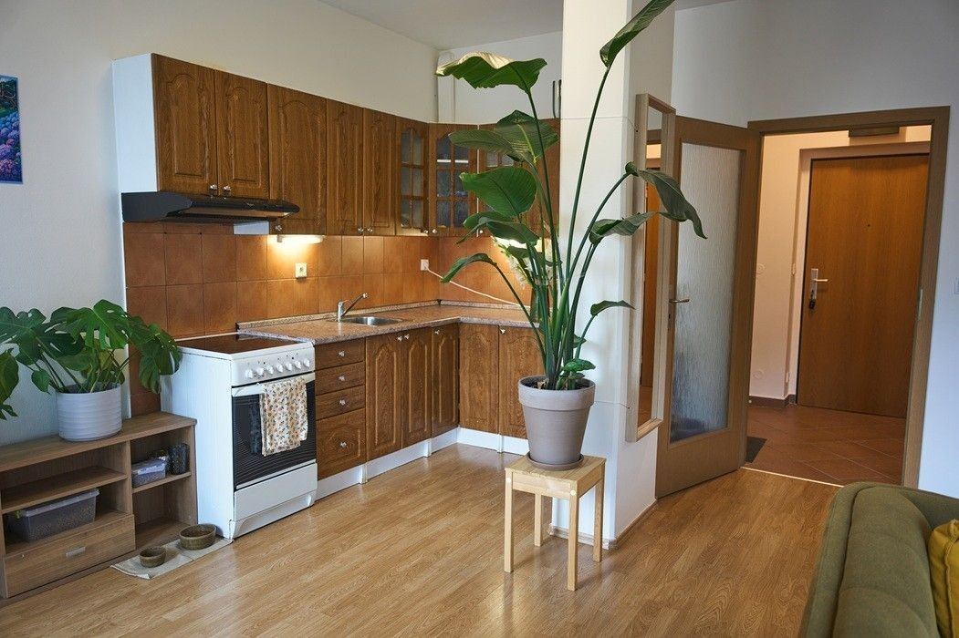 Byt 1+kk · 41 m² · Lukášova, Praha - Žižkov - 3