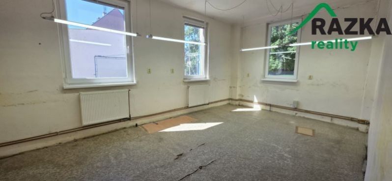 Výrobní prostory · 249 m² · Plzeňská, Planá - 3