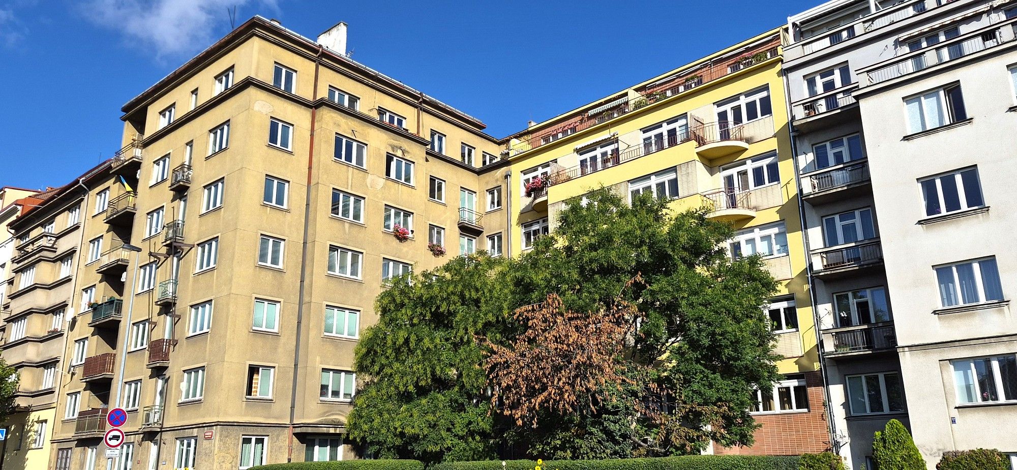 1+kk, Šrobárova, Praha 3 - Vinohrady, 20,2 m² - 1