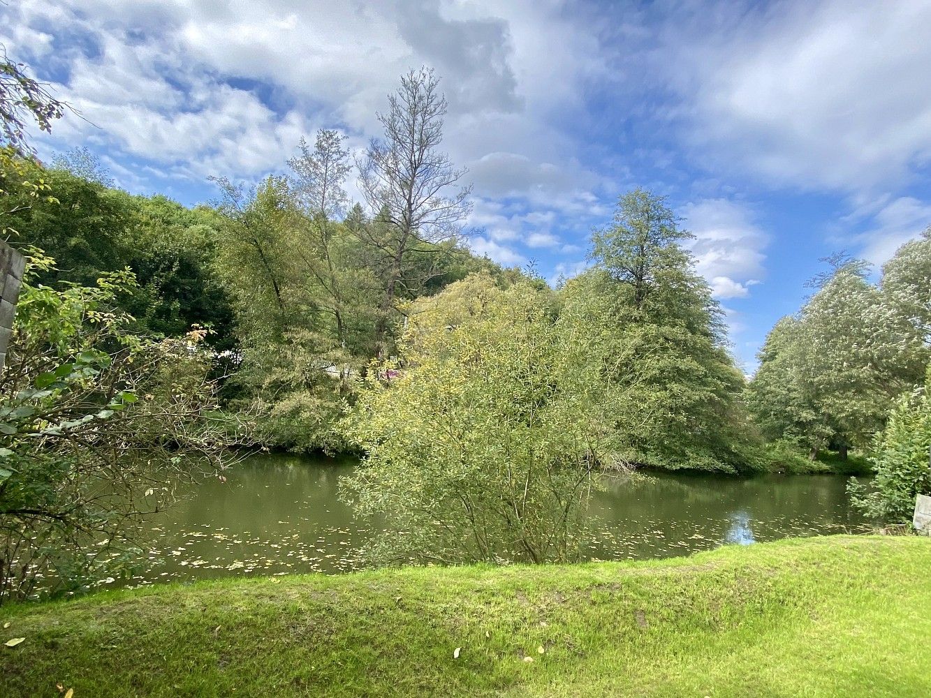 Pozemek pro bydlení · Bílovice nad Svitavou, okres Brno-venkov, Jihomoravský kraj - 4