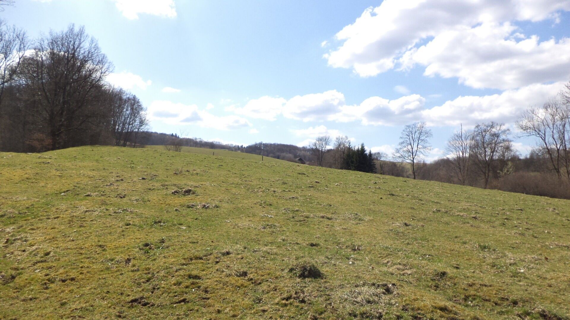 Prodej pozemek - Fojtovice, Heřmanov, 4 m²