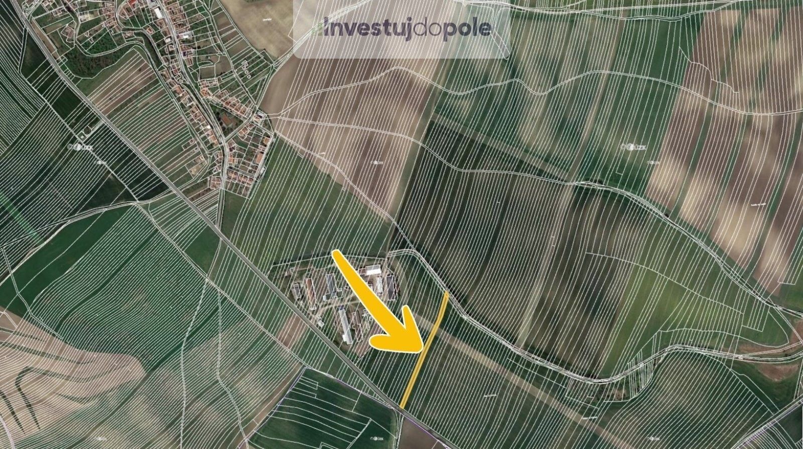 Prodej zemědělský pozemek - Borkovany