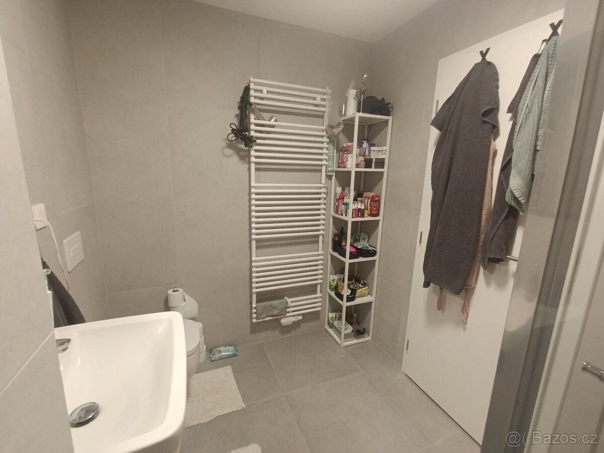 Pronájem byt - Dolní Lhota, 747 66