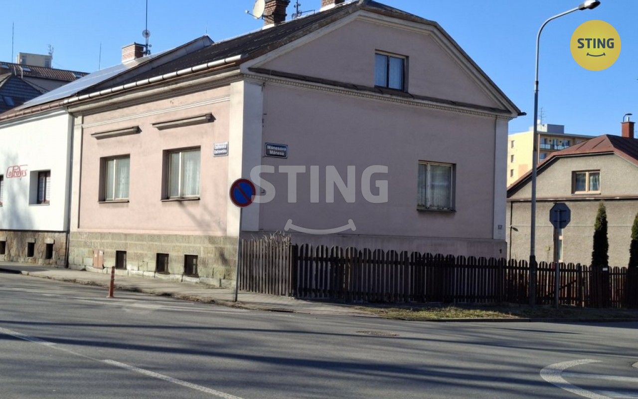 Ostatní, Mánesova, Český Těšín, 258 m²