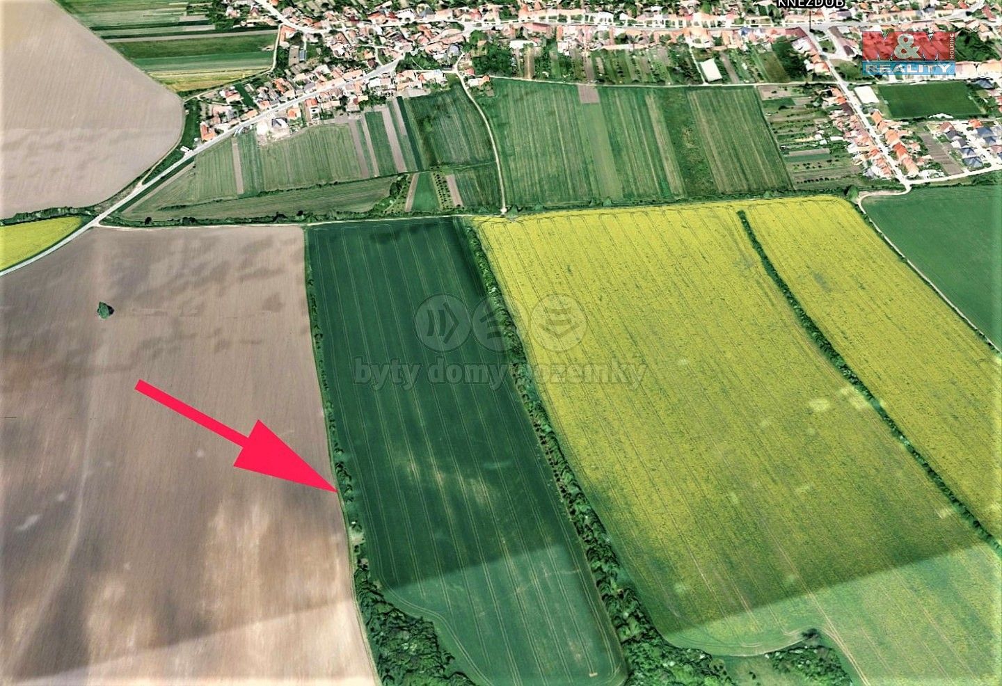 Zemědělský pozemek · Kněždub, okres Hodonín, Jihomoravský kraj - 3