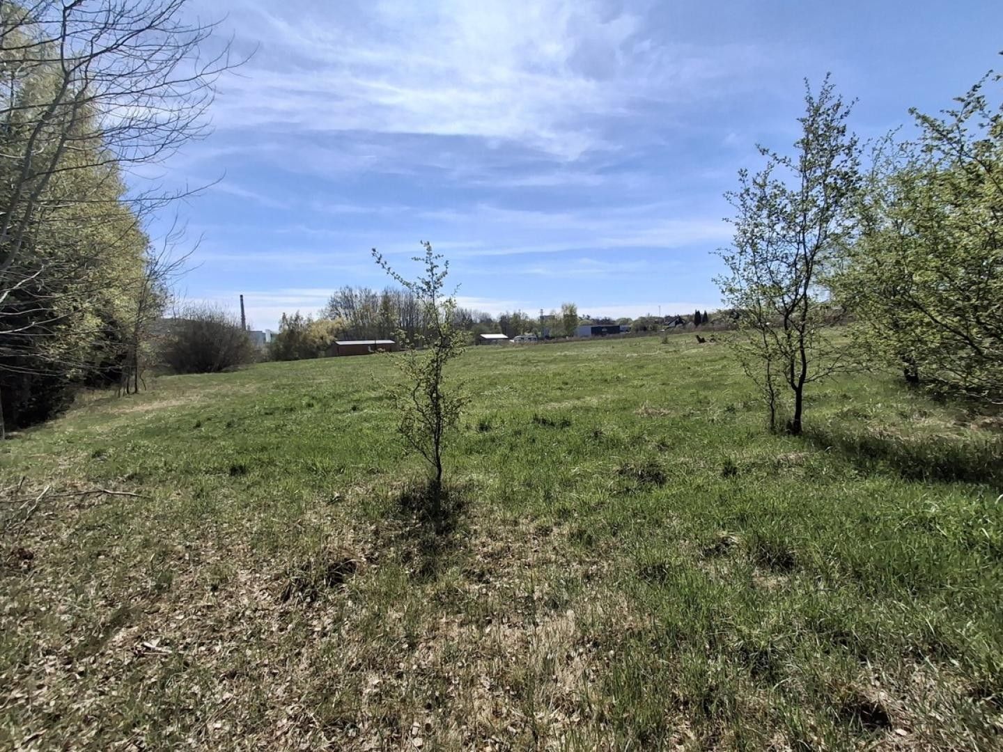 Prodej komerční pozemek - Dalovice - 2
