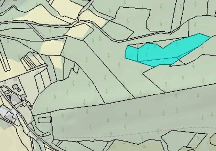 Prodej les - Růžďka