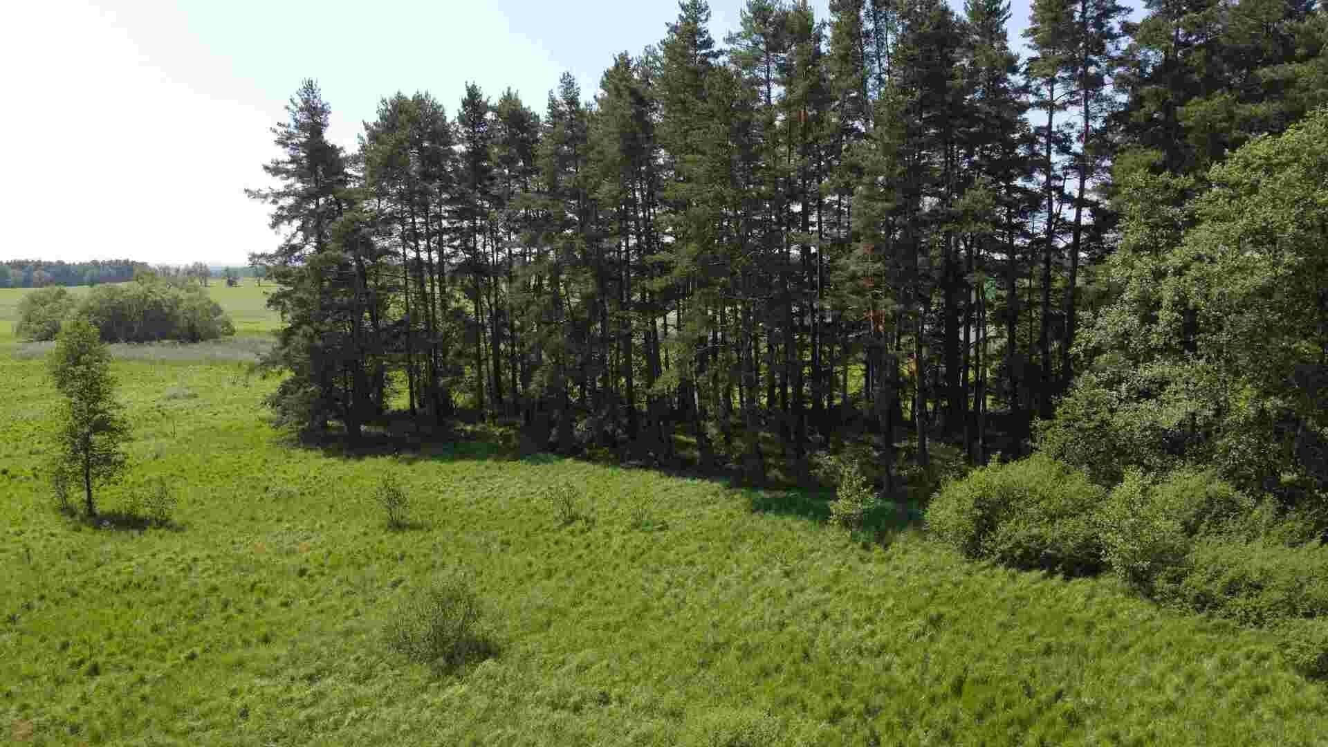 Prodej pozemek - Jílovice, 20 m²