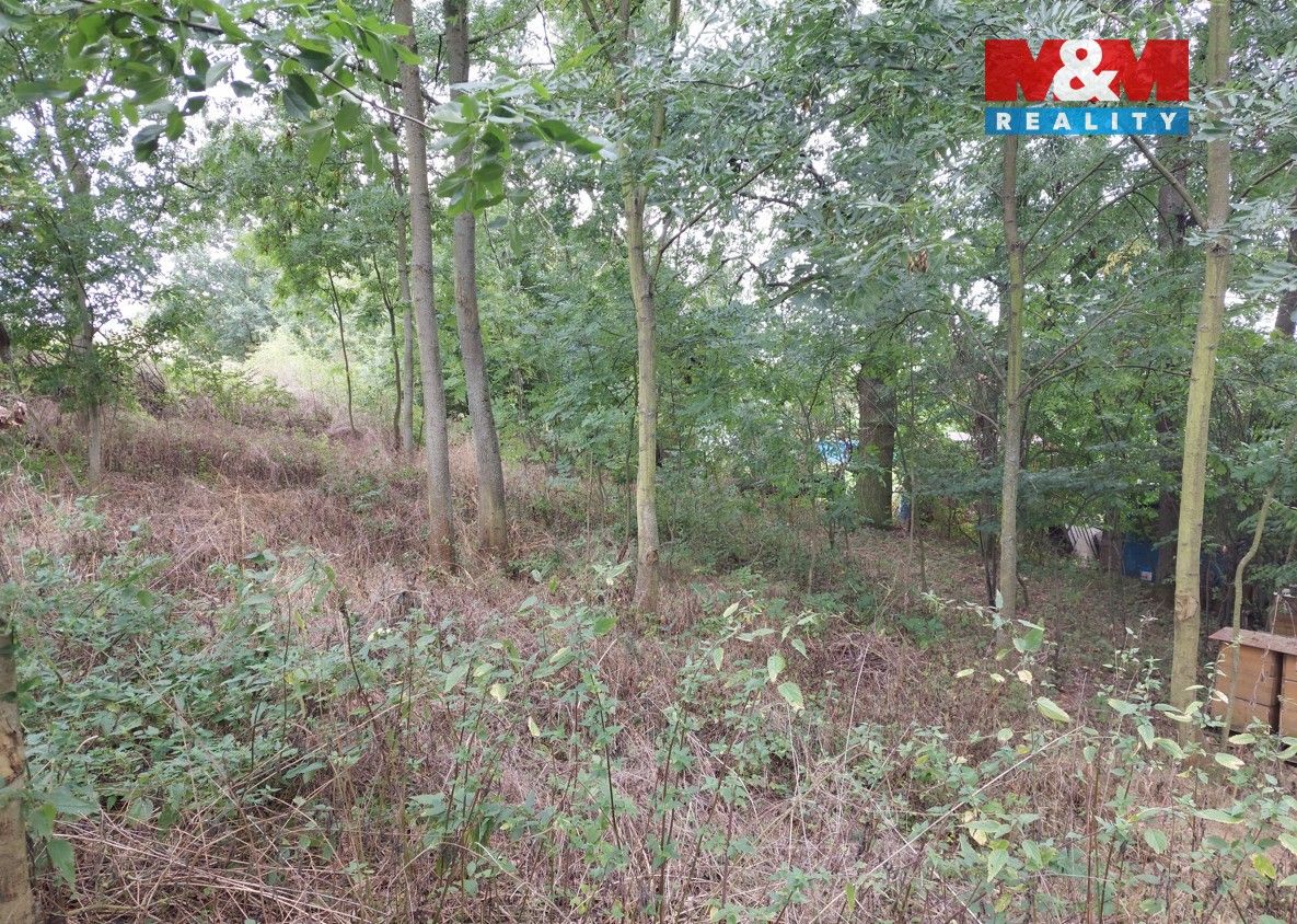 Prodej pozemek pro bydlení - Bystřice u Benešova, 257 51