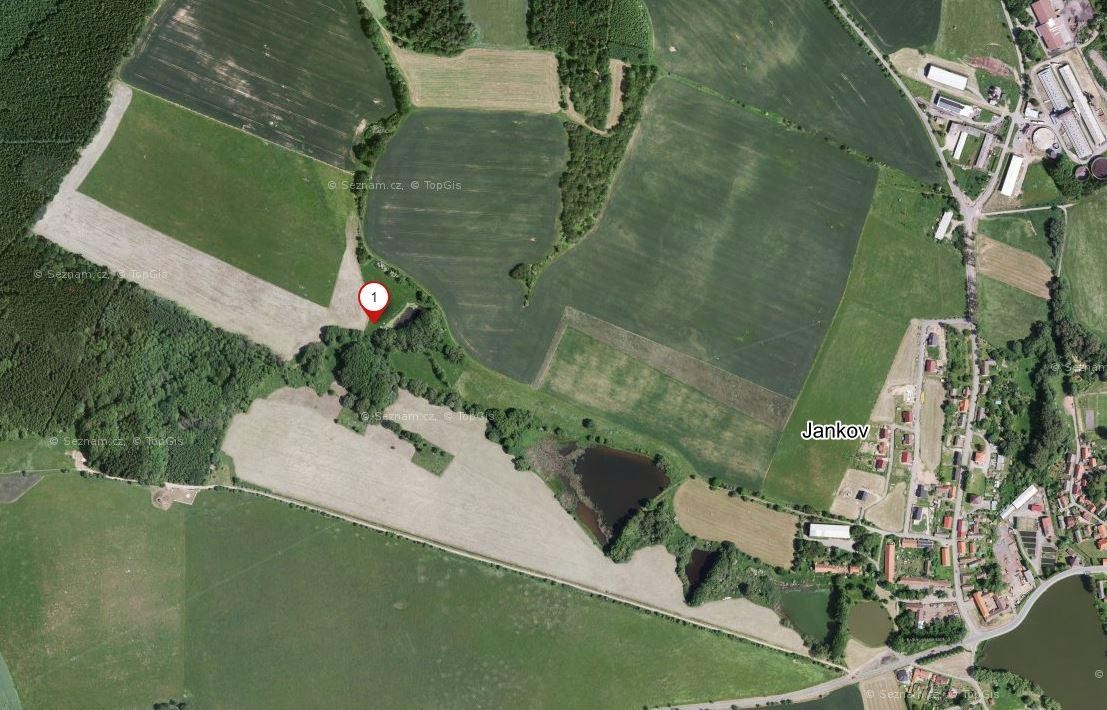 Zahrada · 888 m² · Jankov - 3