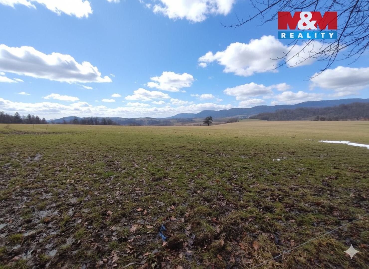 Prodej les - Straník, Nový Jičín