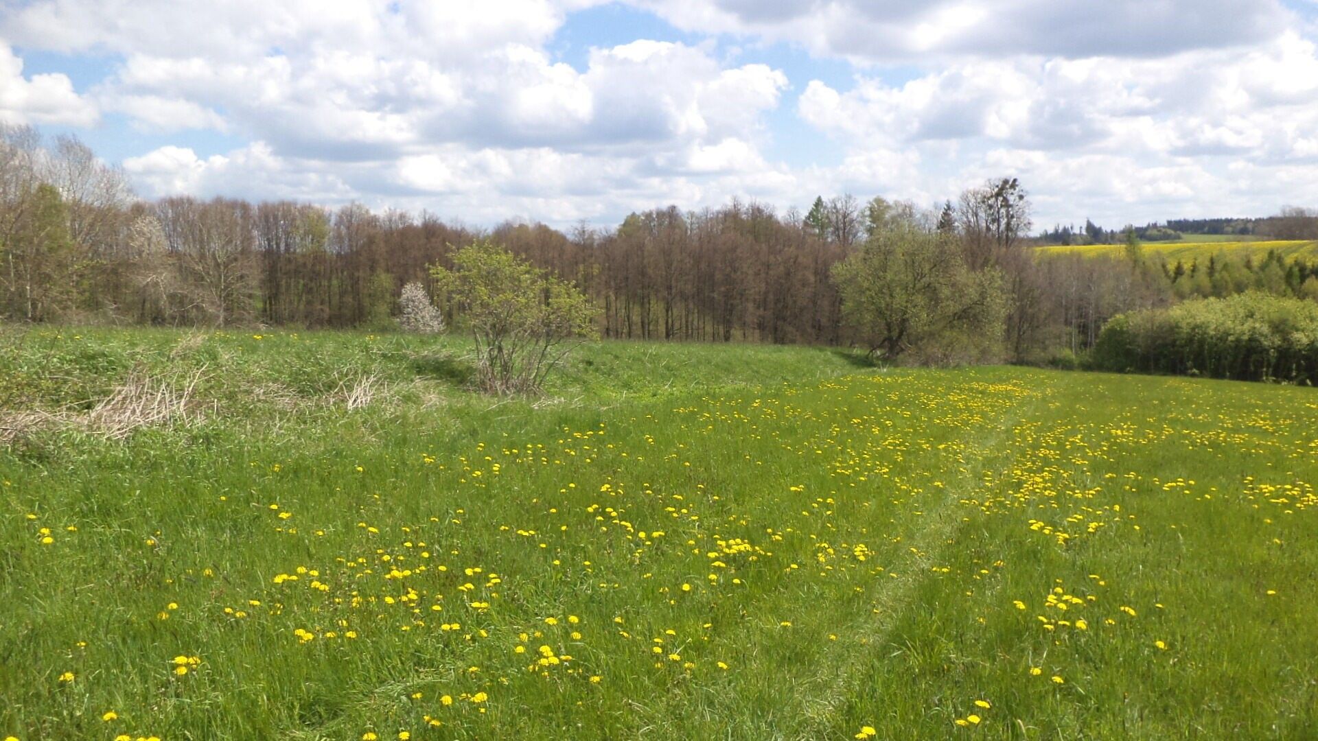 Ostatní, Vítkov, 5 357 m² - 2
