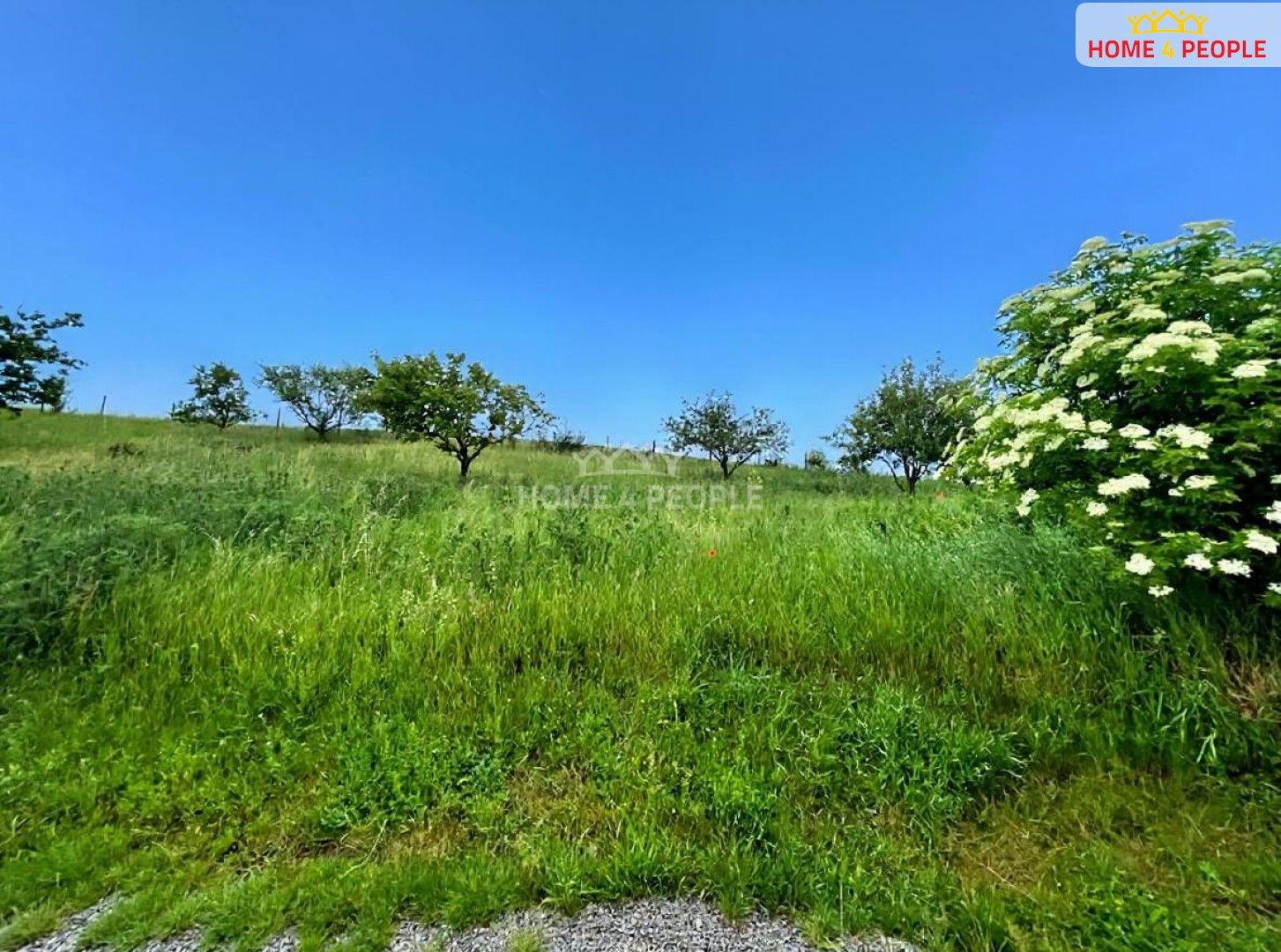 Prodej pozemek pro bydlení - Na Višňovce, Trubín, 1 255 m²