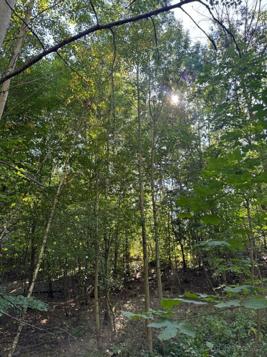 Prodej pozemek pro bydlení - Hořice v Podkrkonoší, 508 01