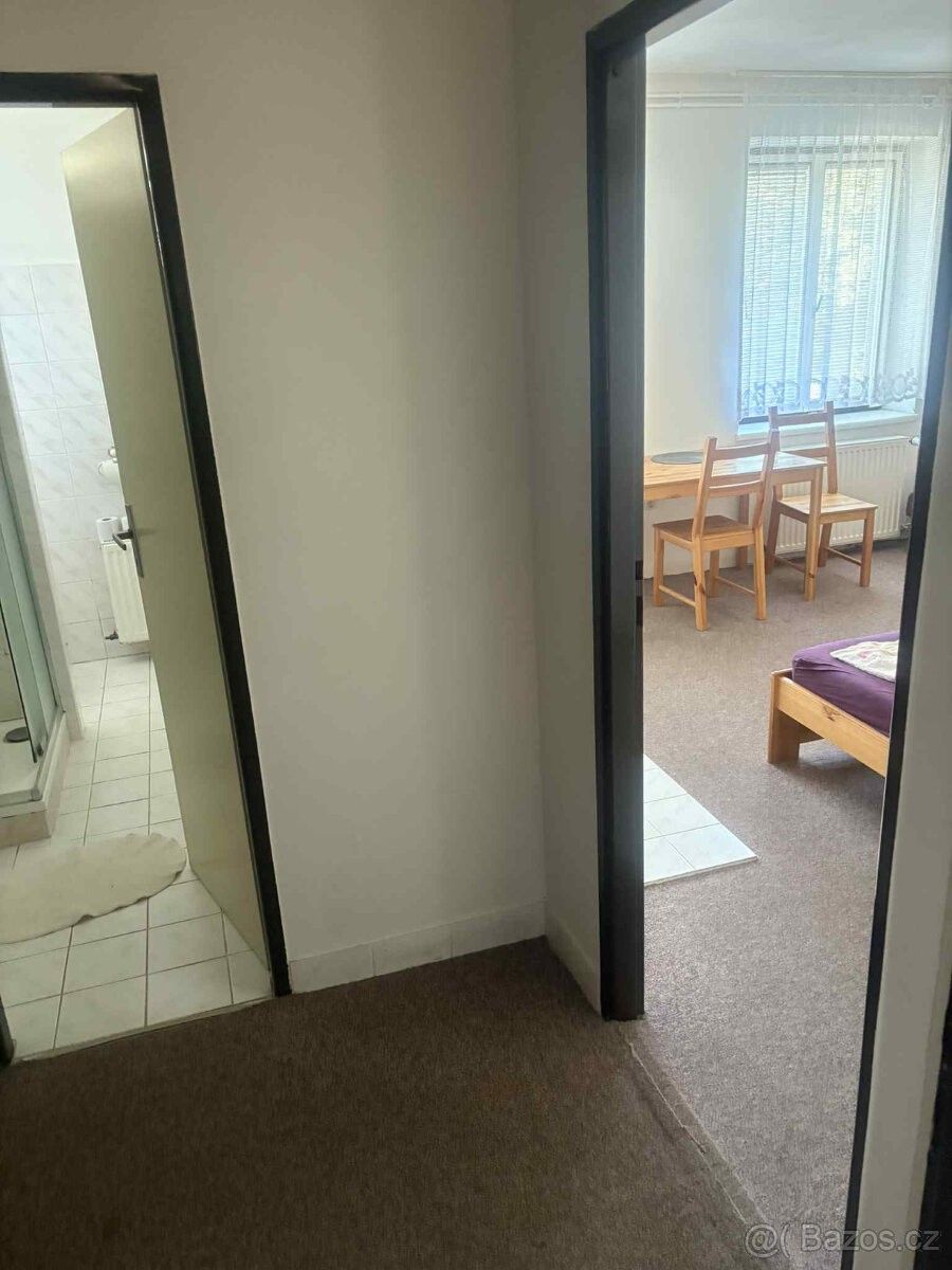 Pronájem byt - Chudobín, 783 21