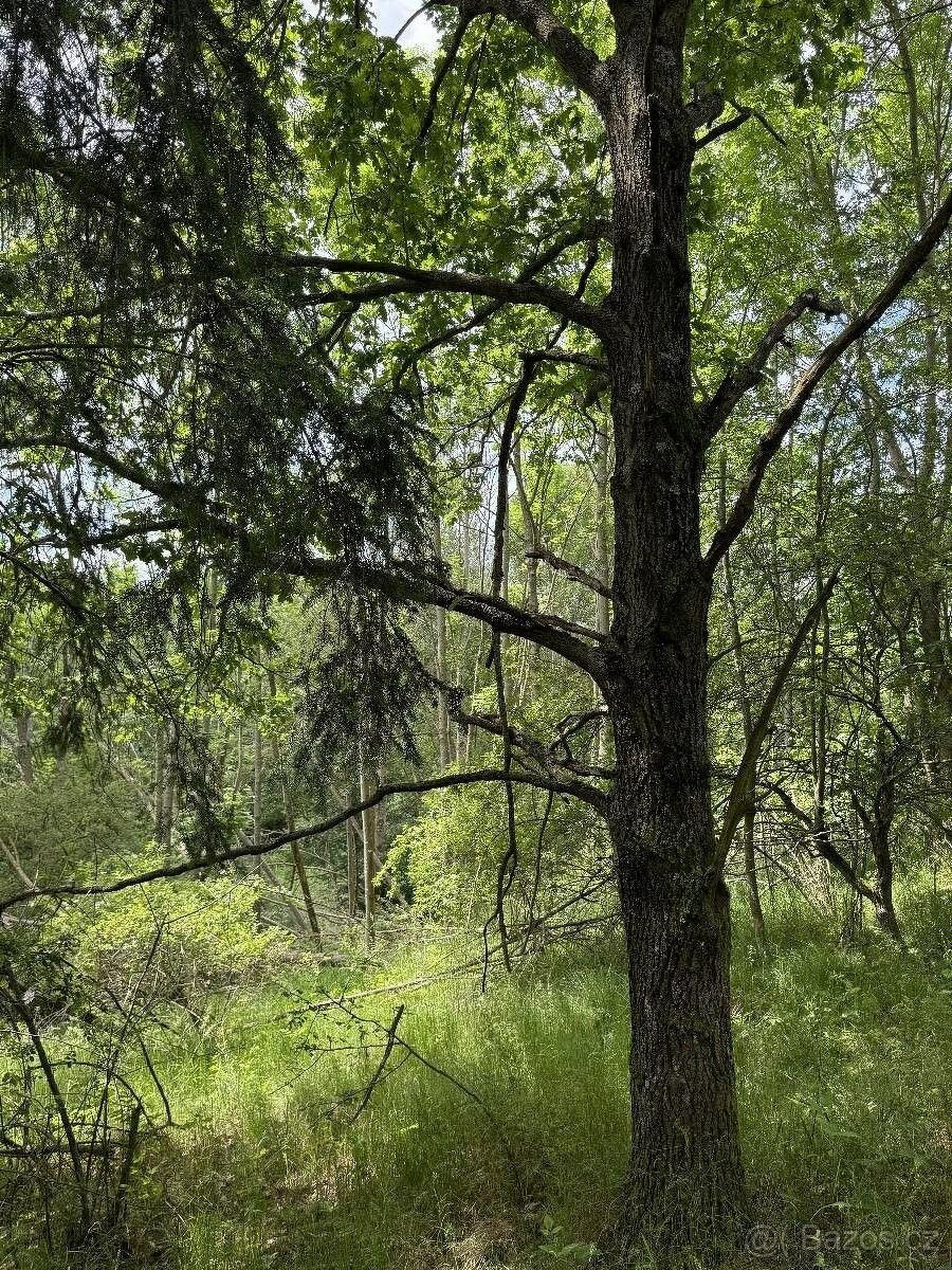 Pozemky pro bydlení, Suchdol u Prostějova, 798 45