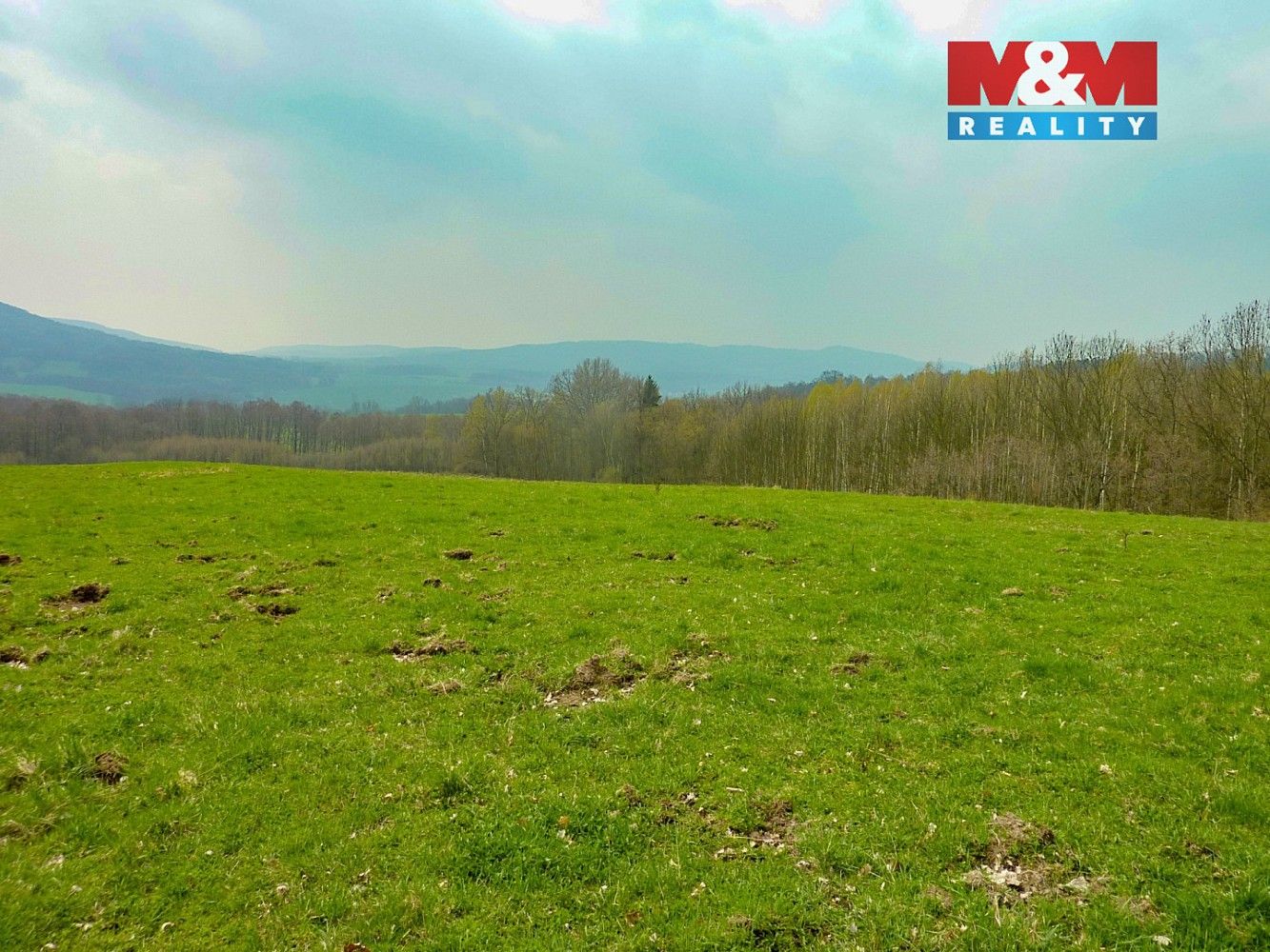 Louka · Stružnice, okres Česká Lípa, Liberecký kraj - 4