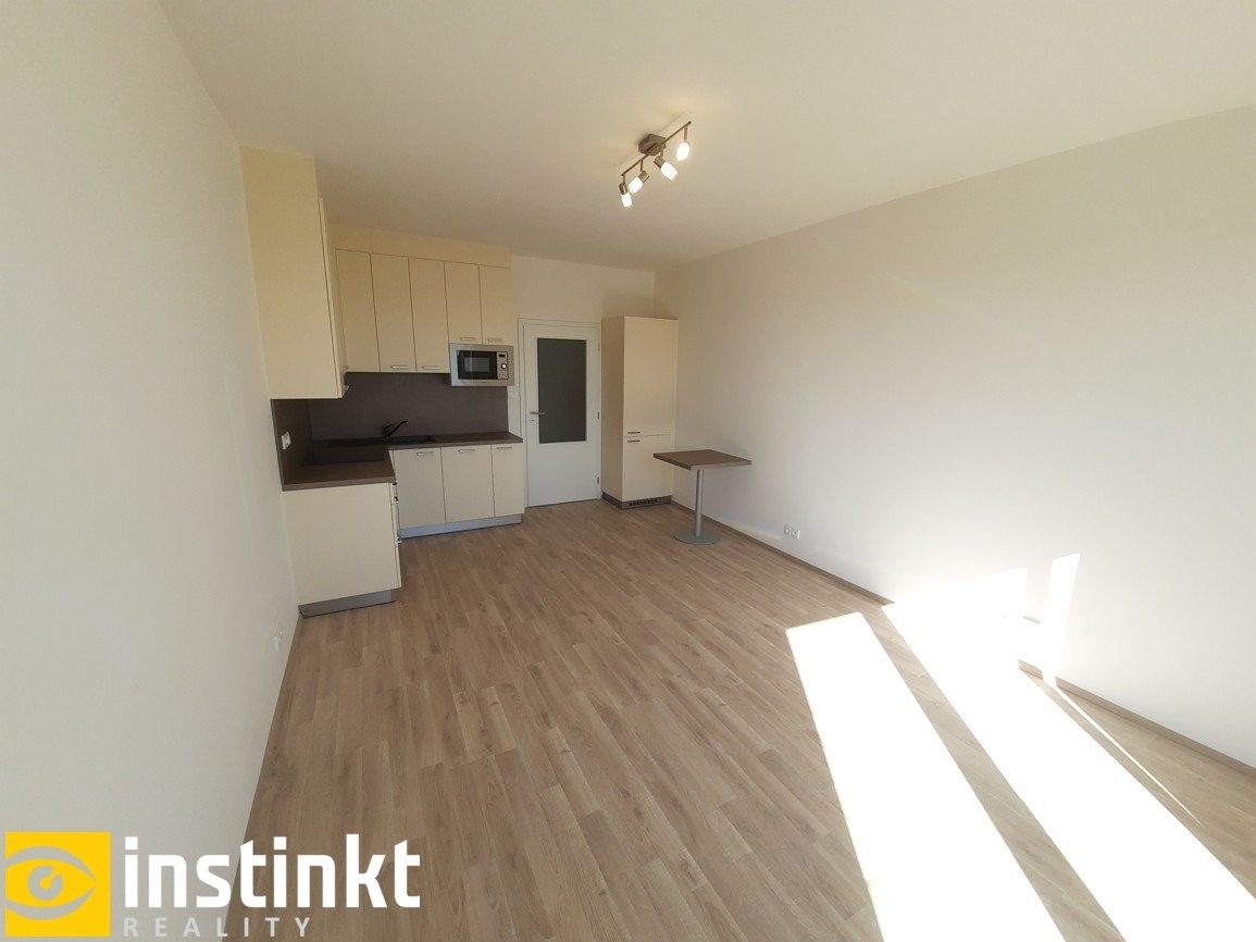 Pronájem byt 1+kk - Nemocniční, Plzeň Jižní Předměstí, 33 m² - 5