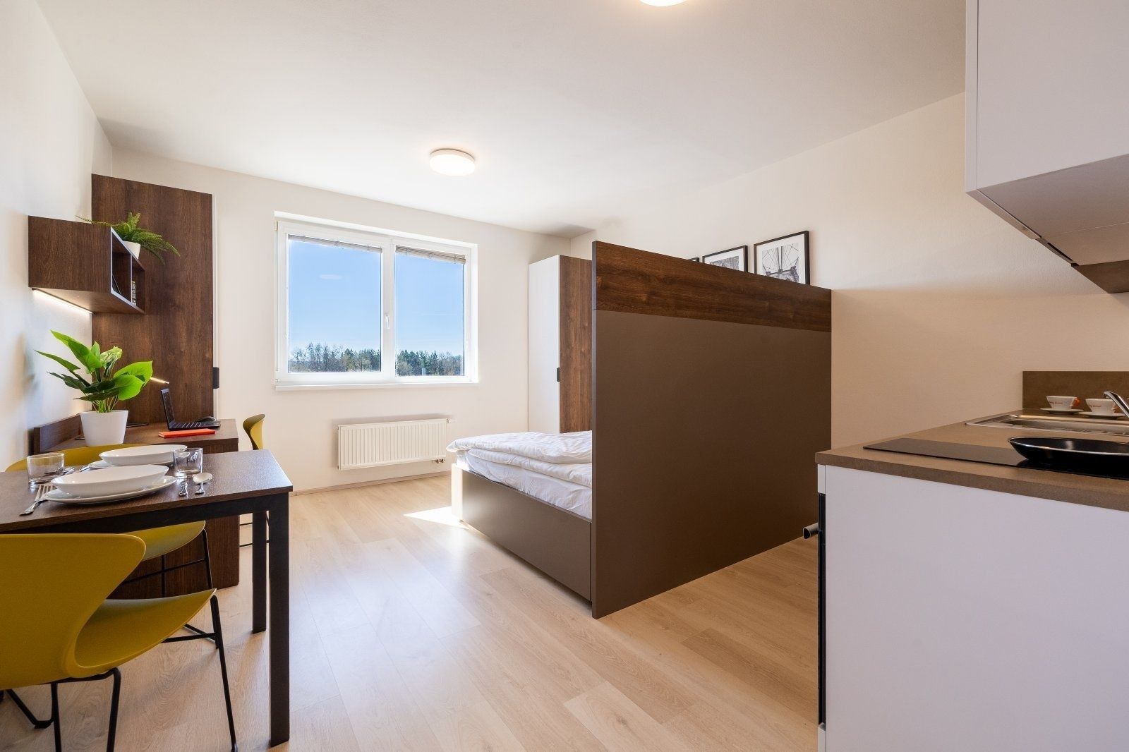 Byt 1+kk · 27 m² · Magisterská, Plzeň - Plzeň, Plzeňský kraj - 3