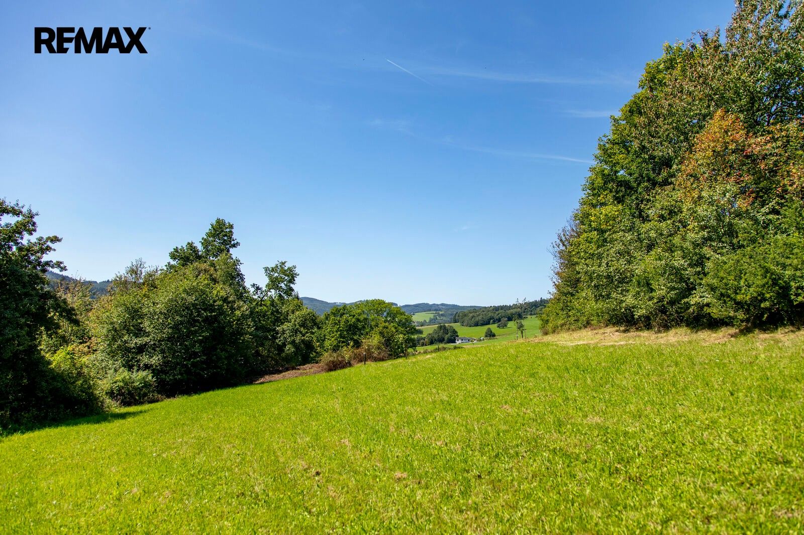 Pozemek pro bydlení · 4 479 m² · Mikulůvka - 4
