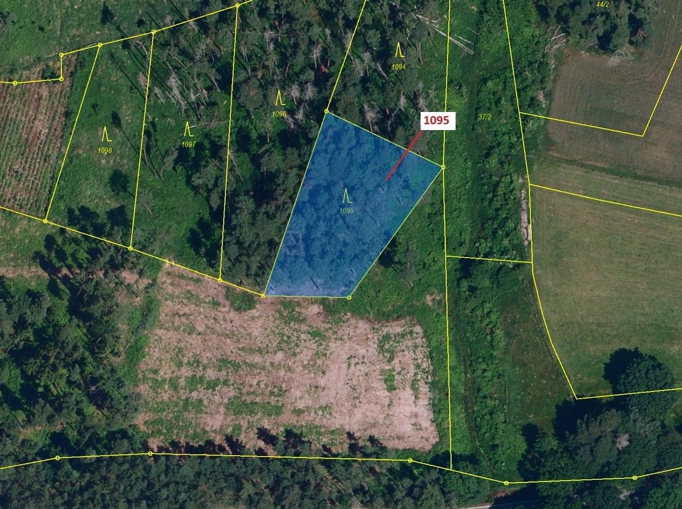 Prodej les - Hornice, okres Třebíč, Kraj Vysočina - 2