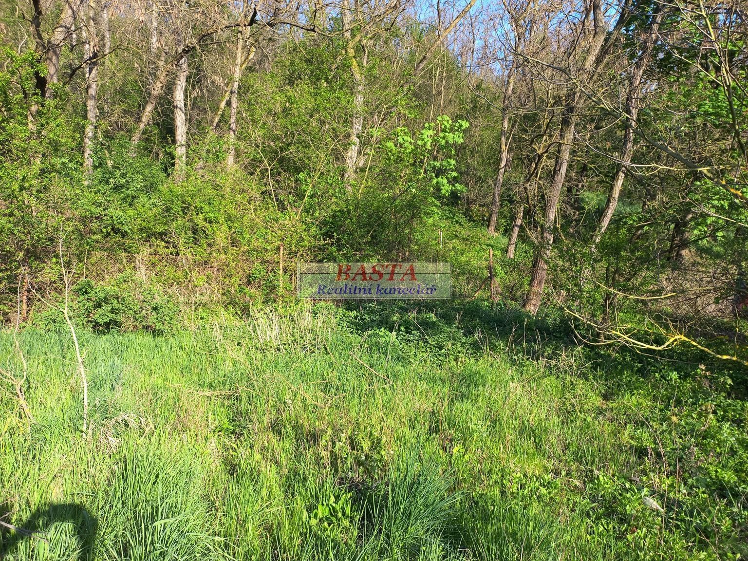 Zahrada · 205 m² · Ivančice - 4