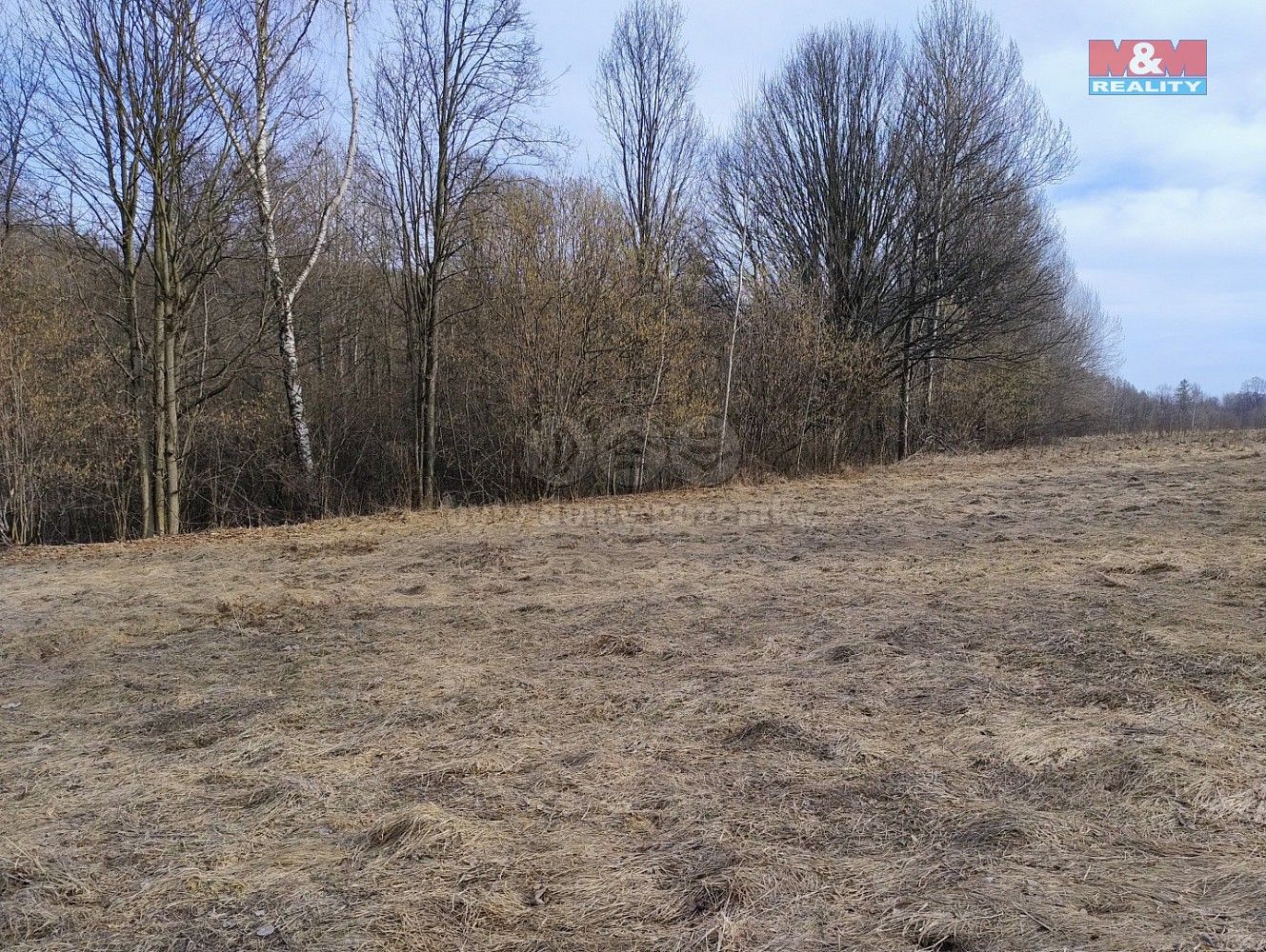 Pozemek pro bydlení · Dolní Moravice, okres Bruntál, Moravskoslezský kraj - 3