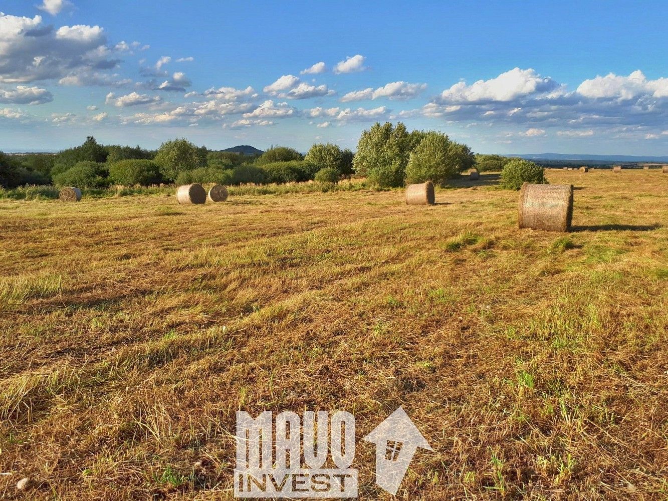 Louka · Petrovice - Krásný Les, okres Ústí nad Labem, Ústecký kraj - 3