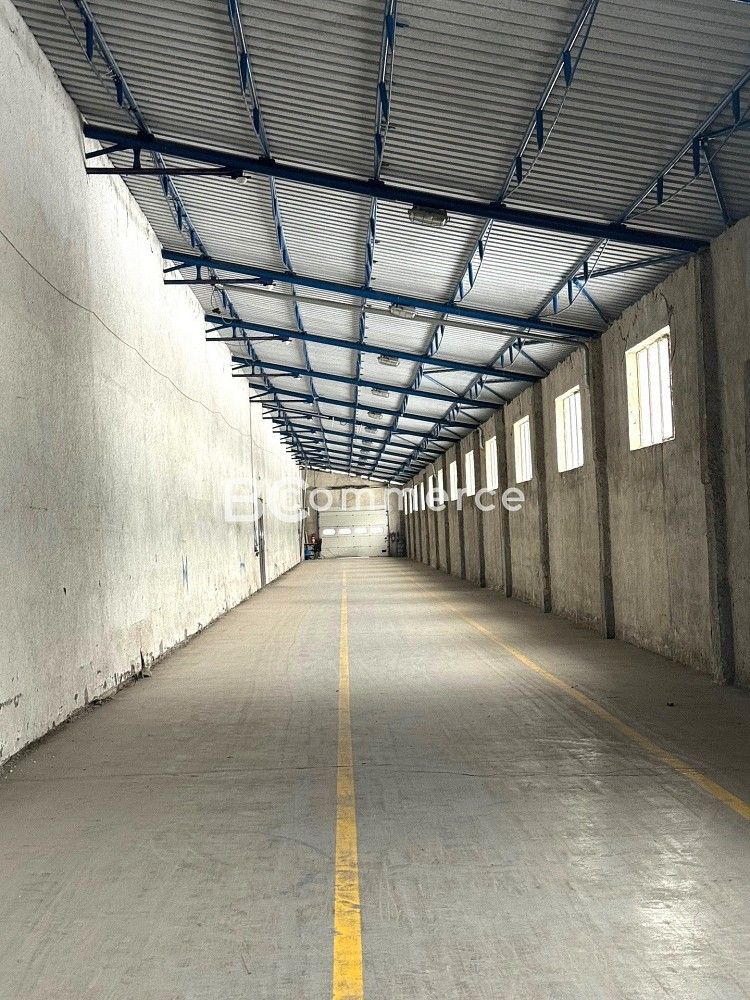 Sklad · 1 672 m² · Brno - Přízřenice, okres Brno-město, Jihomoravský kraj - 4