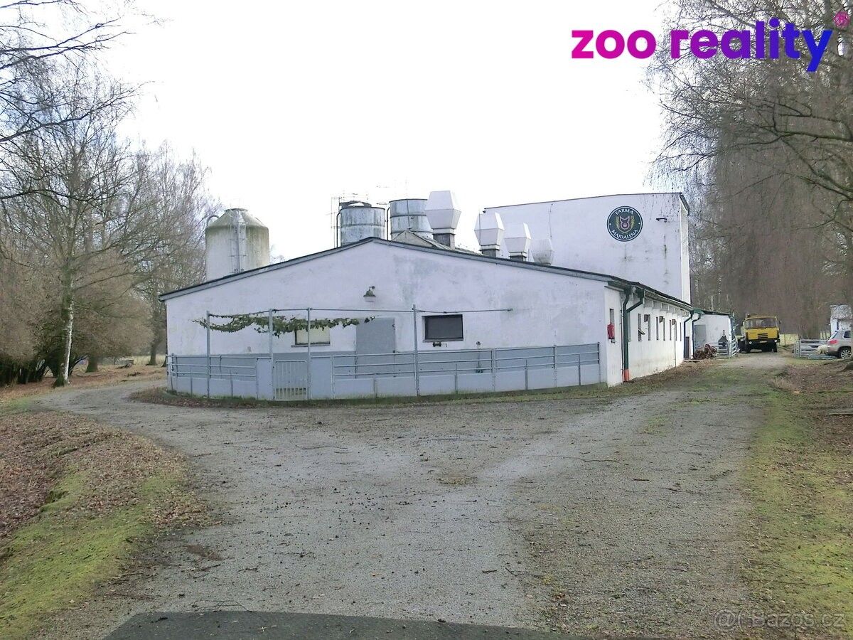 Prodej ostatní - Majdalena, 378 03