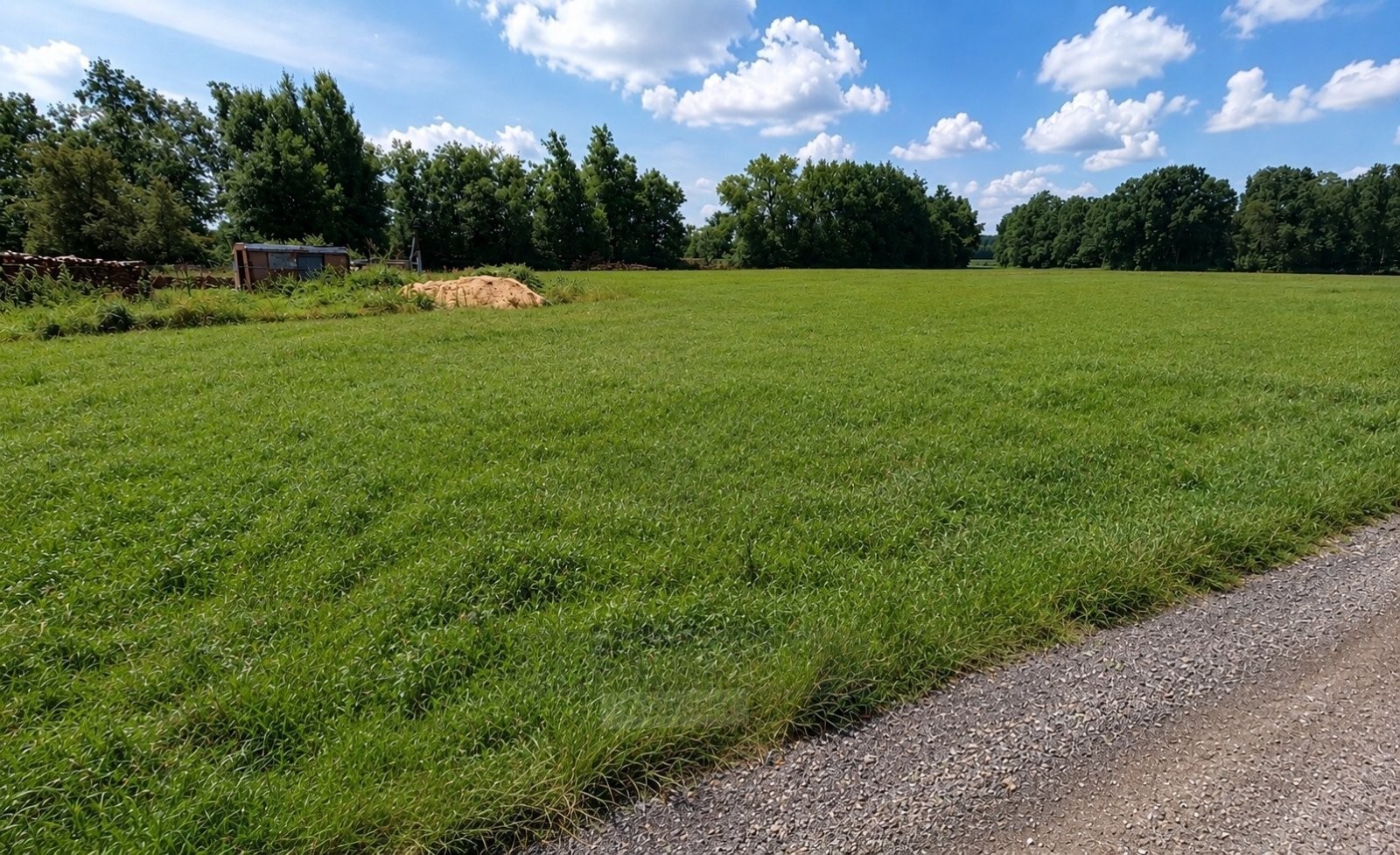 Zahrada · 723 m² · Dubné Třebín - 3