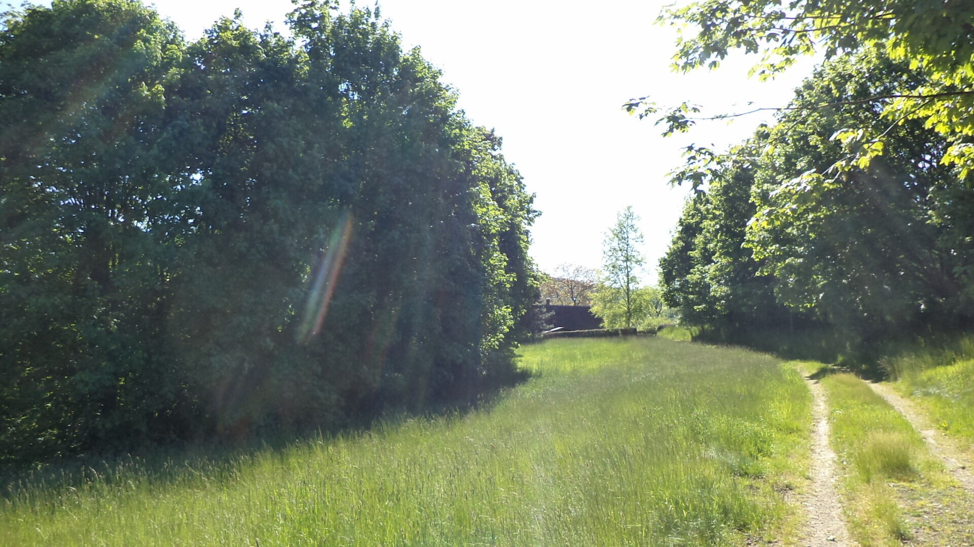 Prodej pozemek pro bydlení - Staré Křečany, 1 188 m² - 2