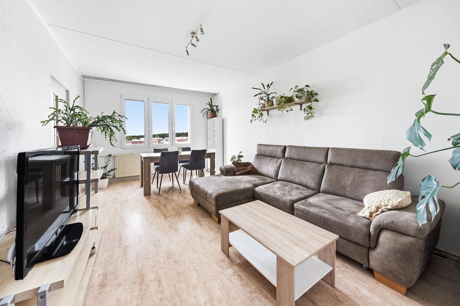 3+1, Plzeň - Severní Předměstí, okres Plzeň-město, Plzeňský kraj, 78 m² - 1