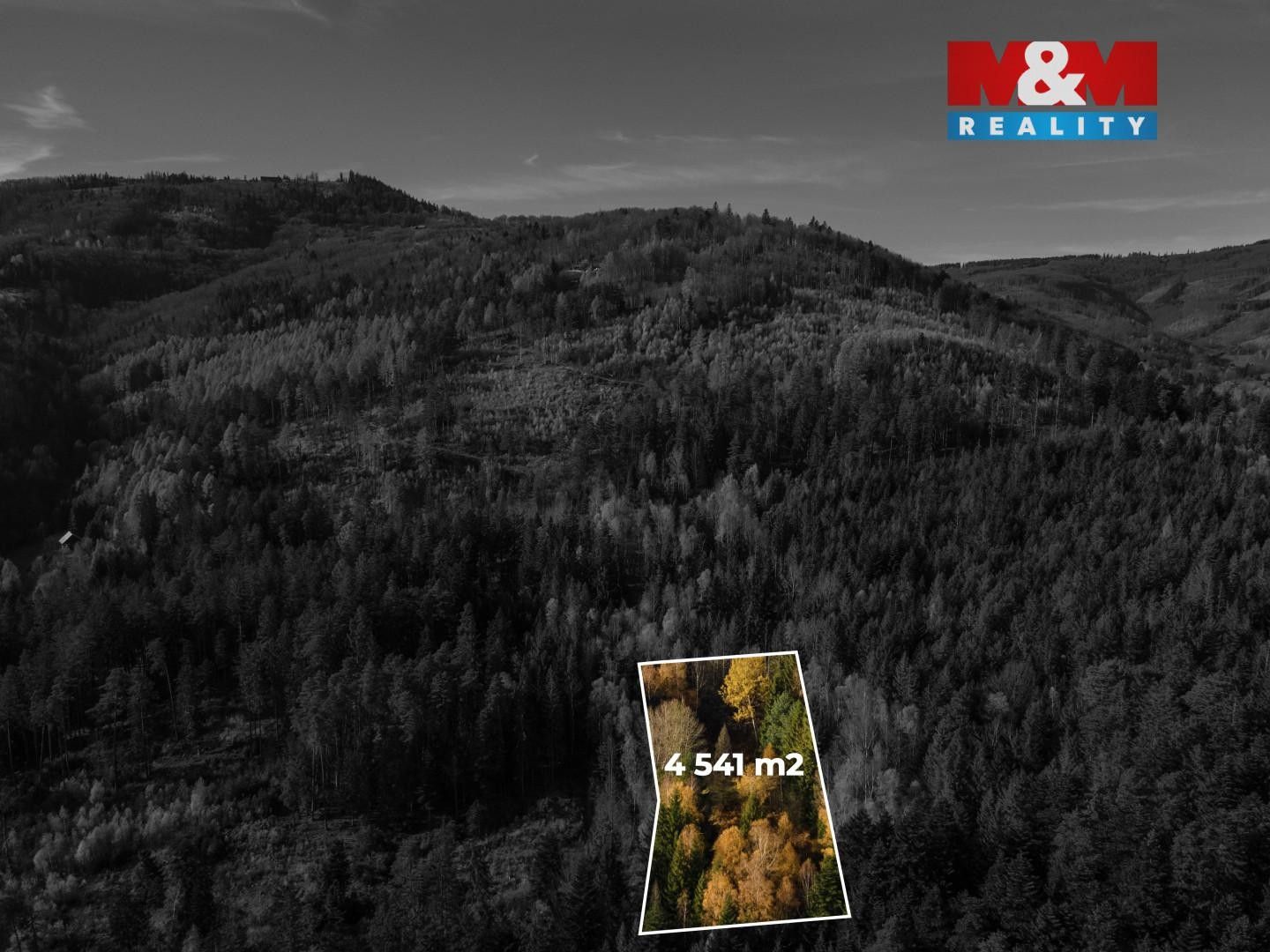 Prodej louka - Milíkov