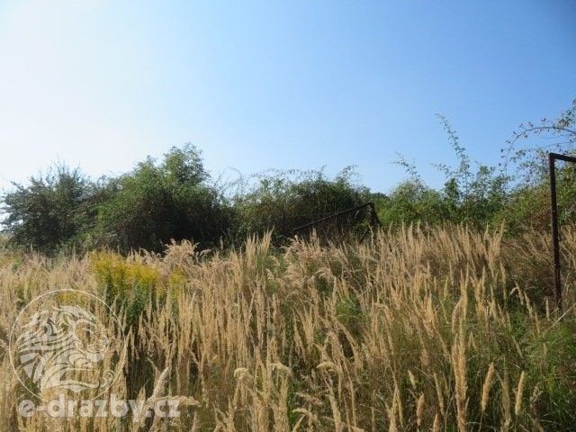 Zahrady, Grunta, 689 m²