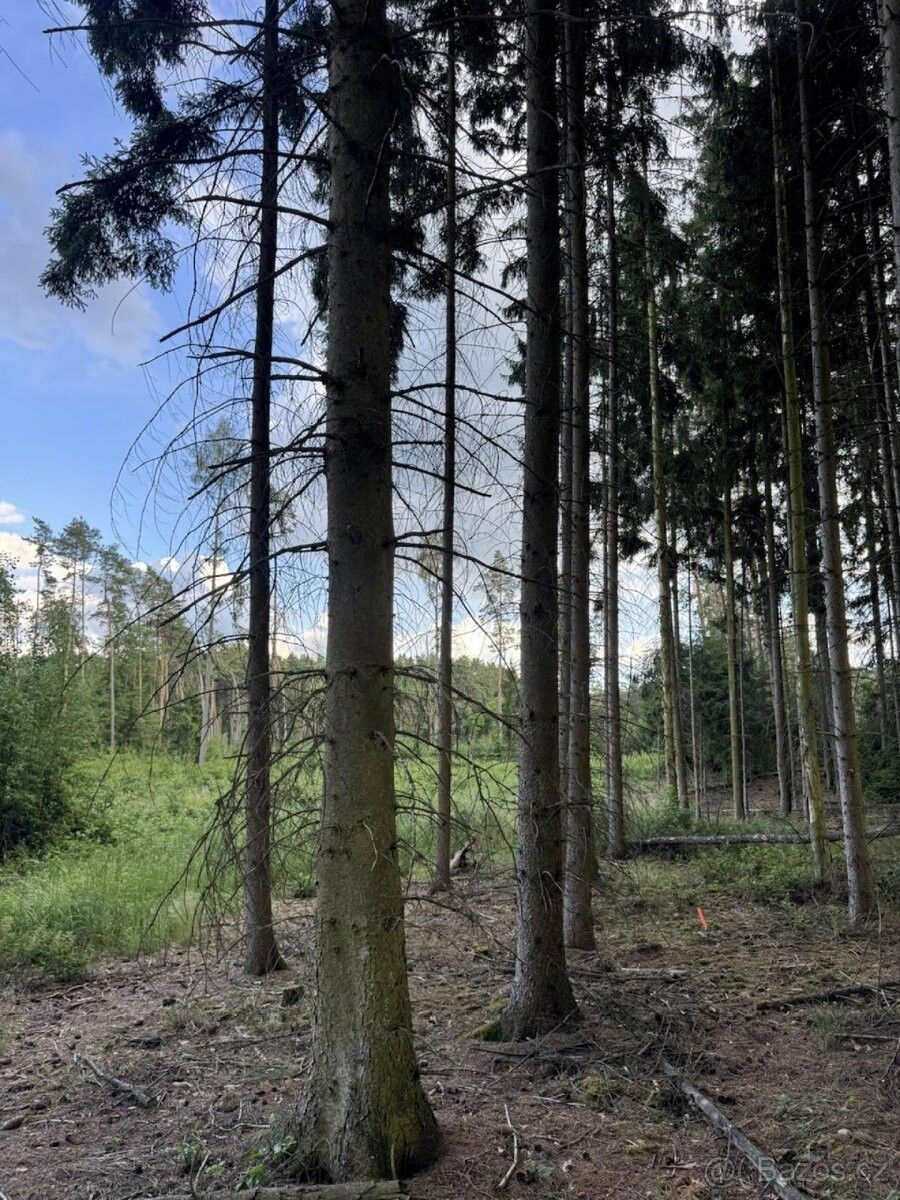 Pozemky pro bydlení, Třemošná, 330 11 - 2