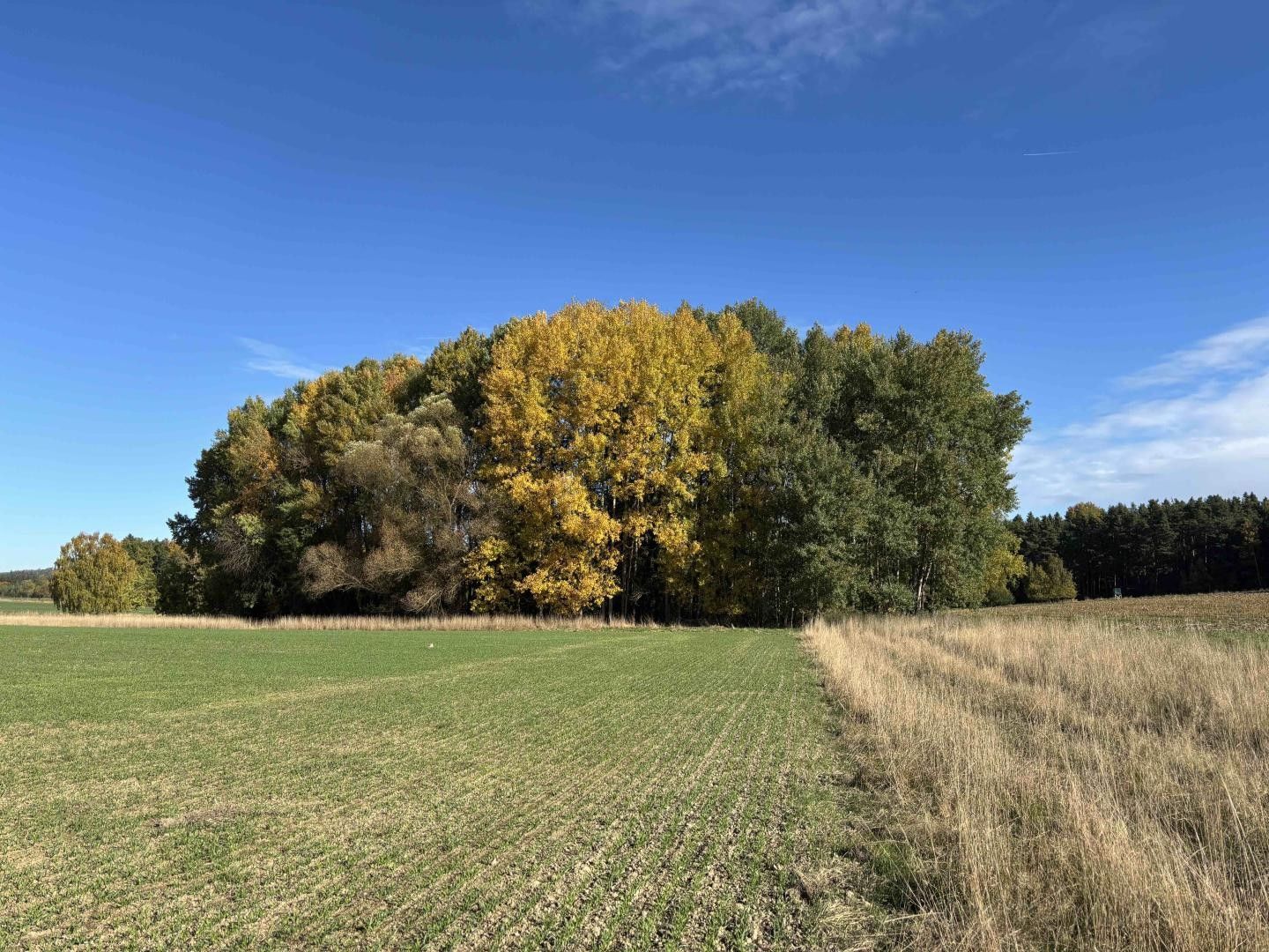 Rybníky, Kamýk, Švihov