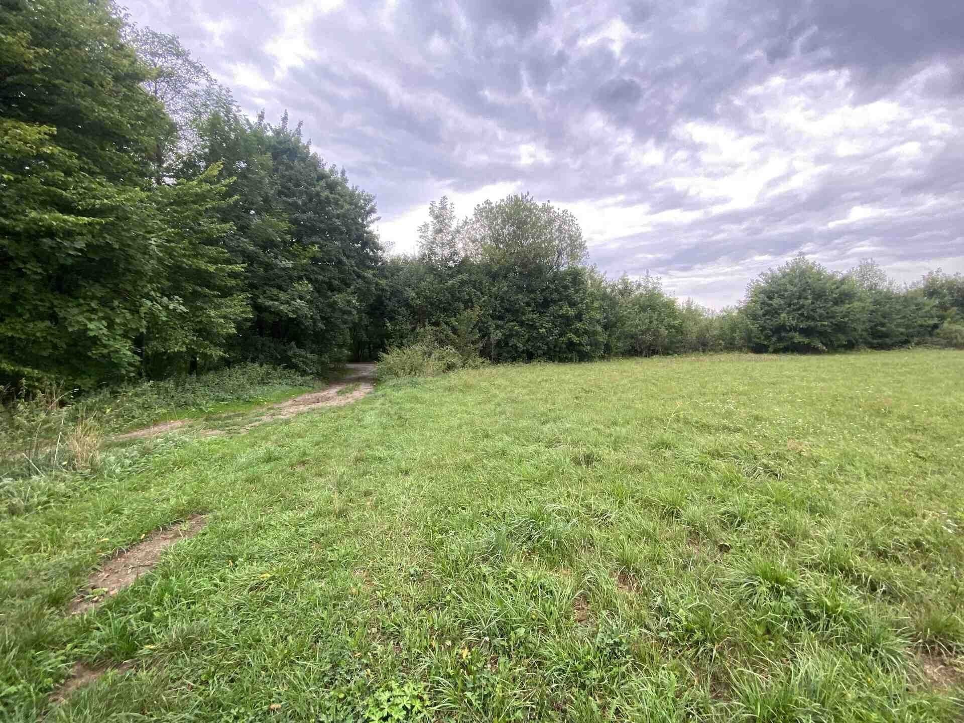 Zemědělské pozemky, Potštejn, 950 m²