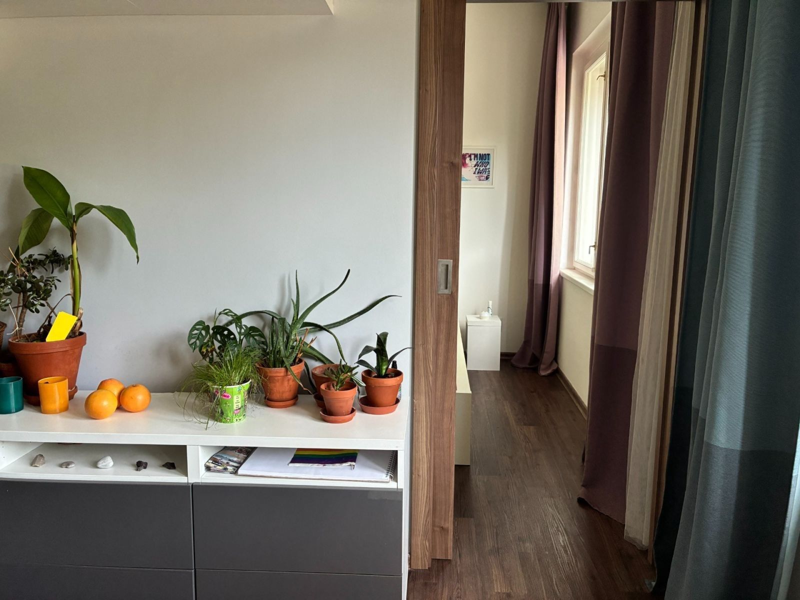 2+kk, Hájkova, Praha - Žižkov, 45 m² - 2