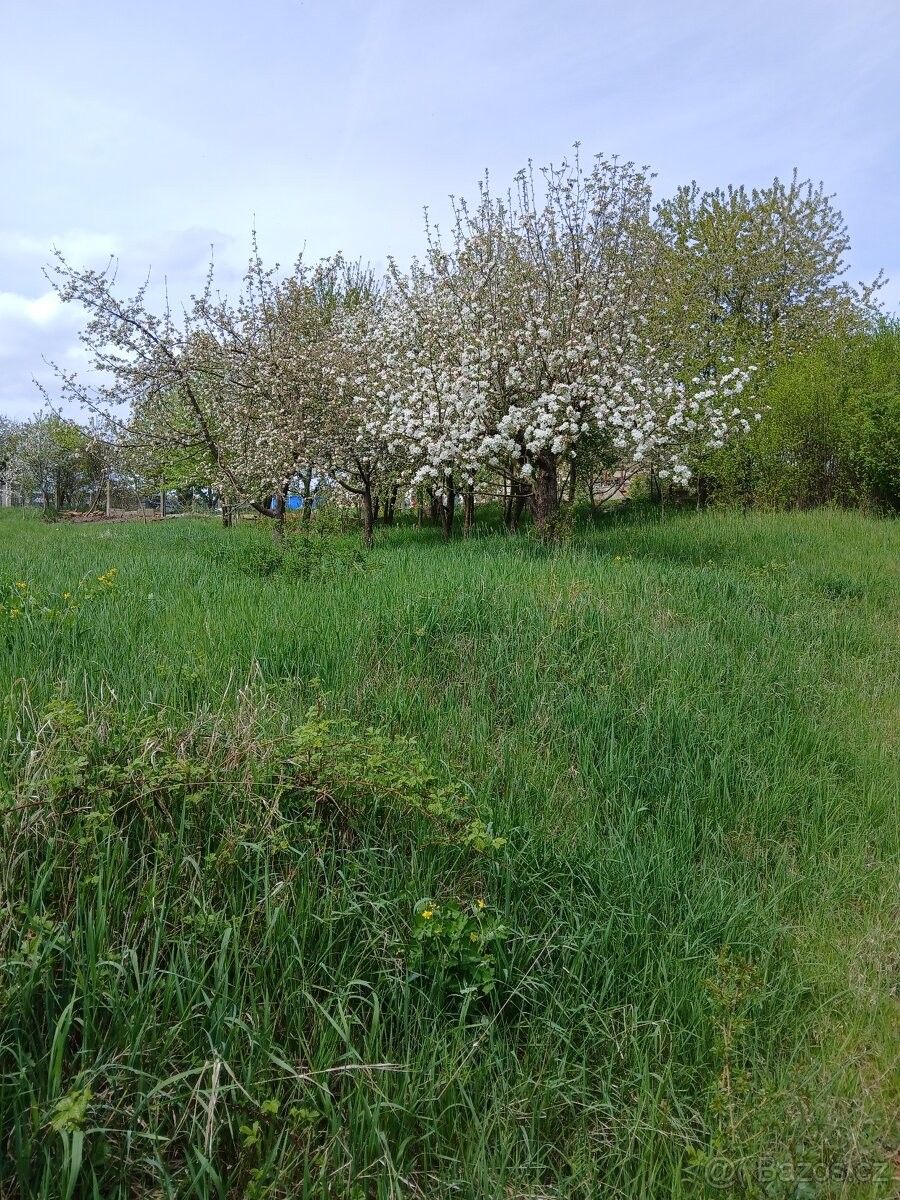 Prodej pozemek pro bydlení - Švihov, 340 12