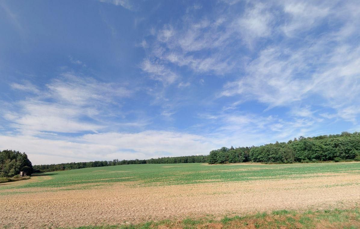 Zemědělský pozemek · 53 797 m² · Louňová - 4