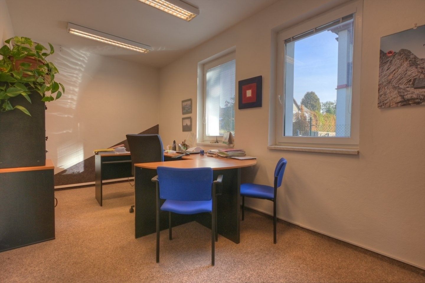Prodej obchodní prostory - Studenec, 265 m²